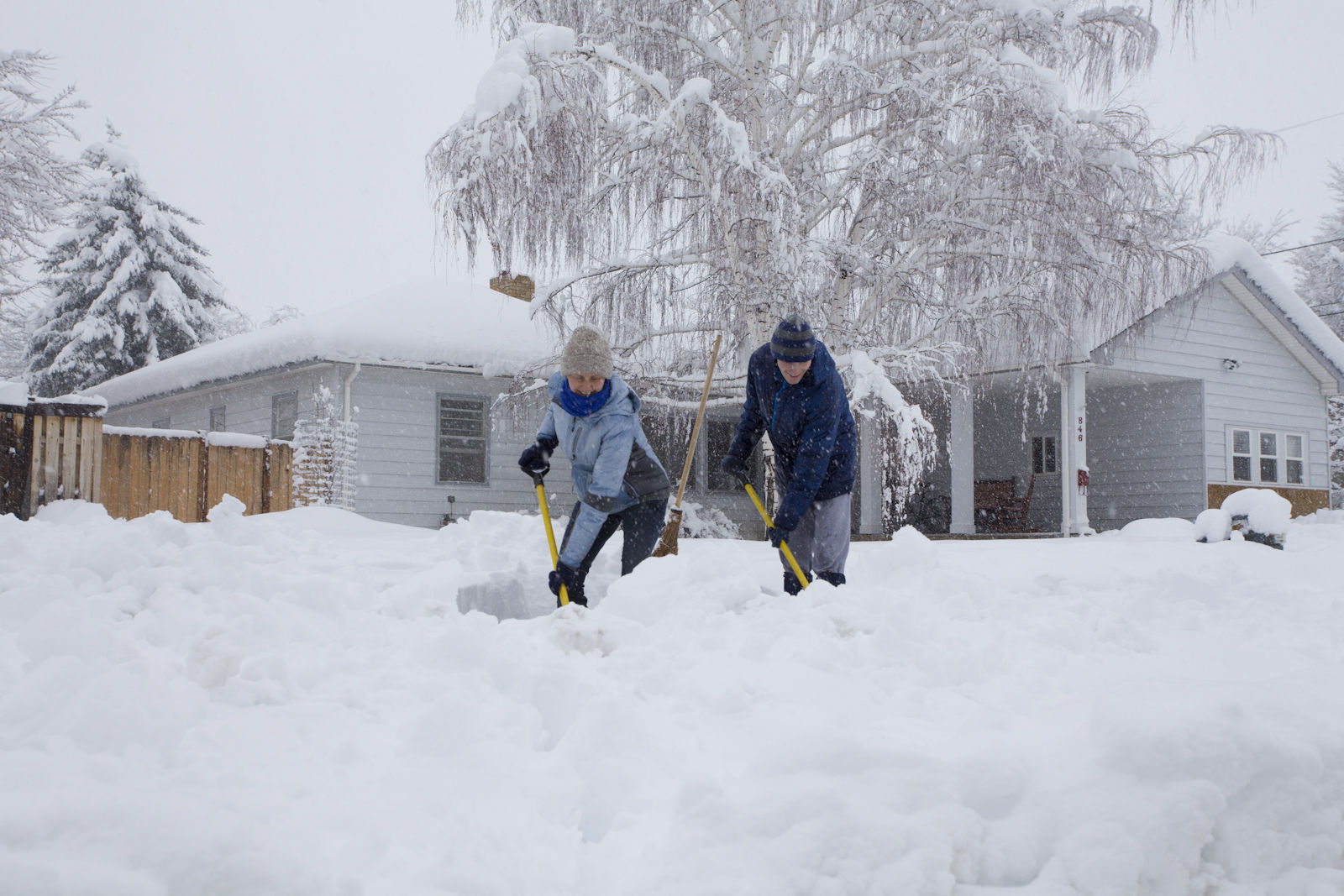 The wind has blown the snow off your driveway before you can shovel it